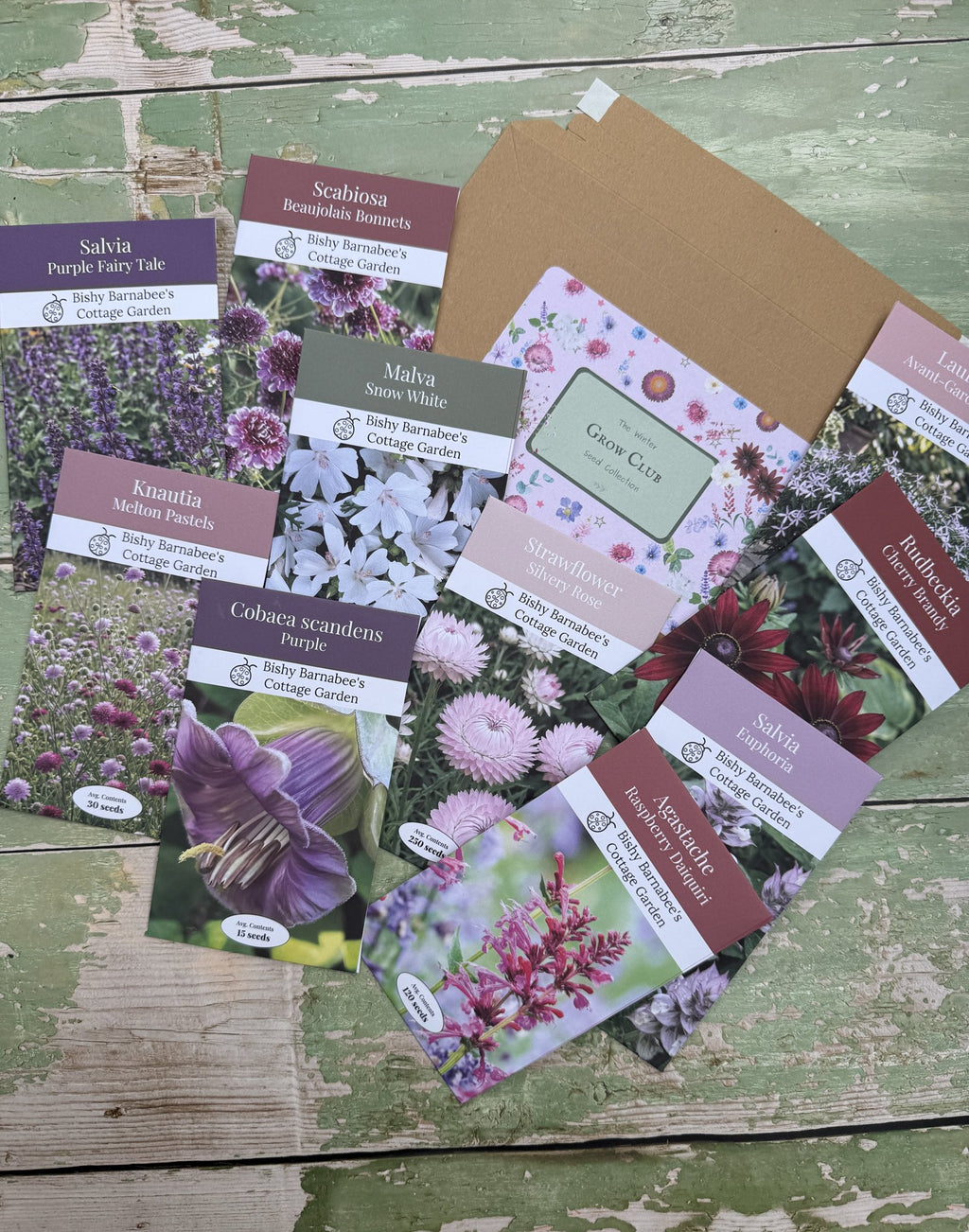 The Winter Seed Collection