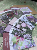 The Winter Seed Collection