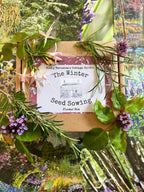 Winter Seed Sowing Flower Box with fresh green leaves and flowers on colourful garden photos