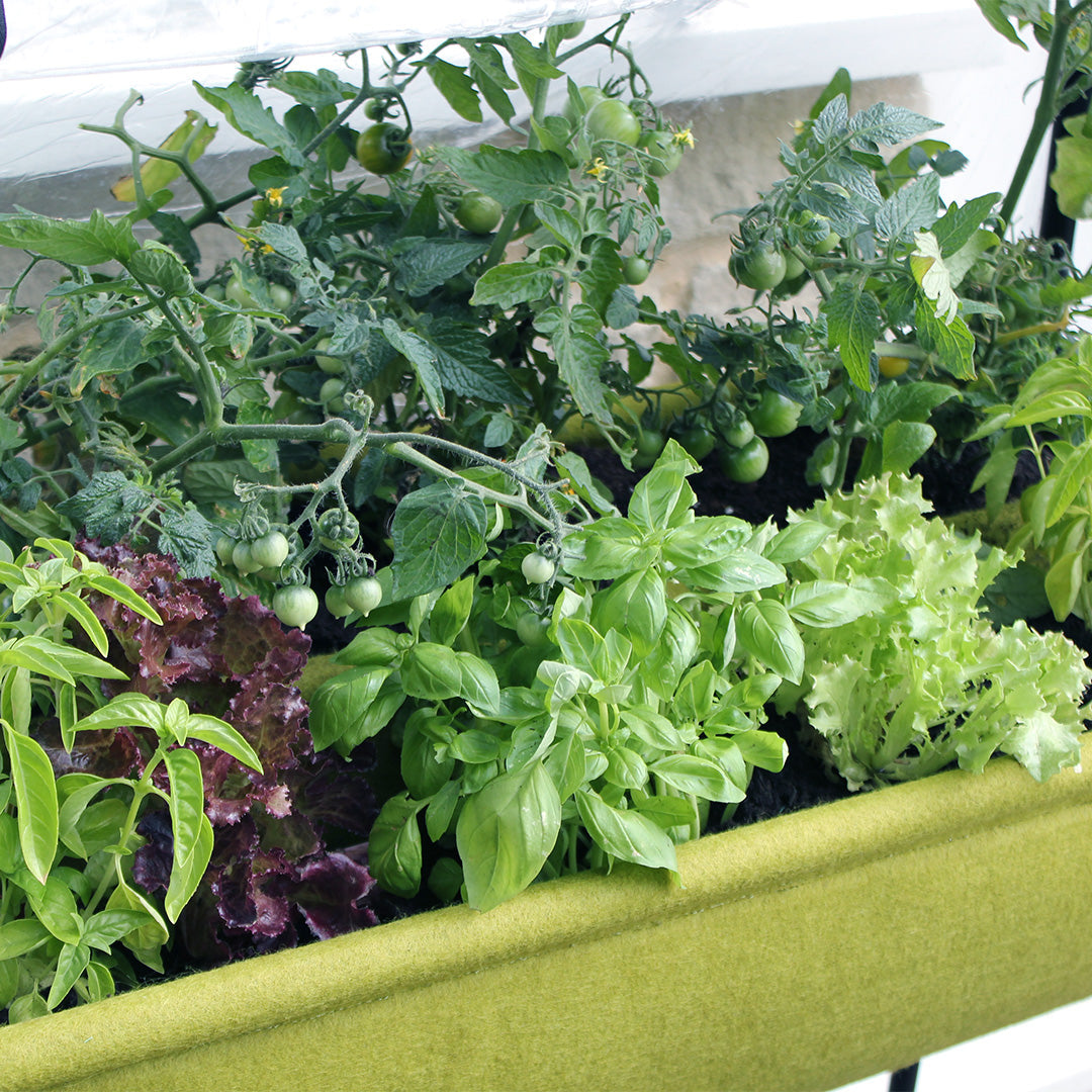 Vigoroot Easy Table Garden | Self-Watering with Cover