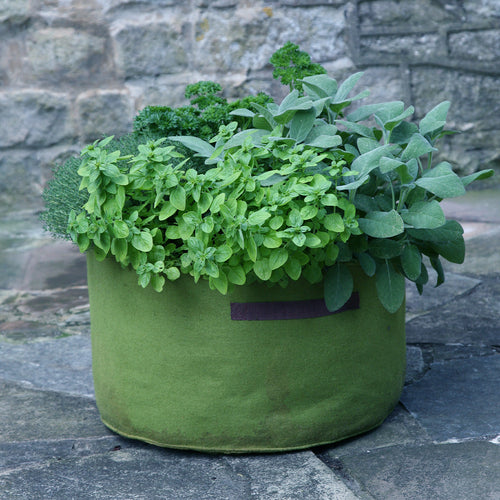Vigoroot Herb Planter | 40 Litre Fabric Planter