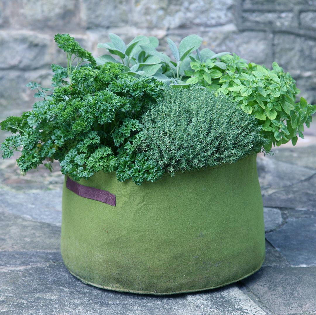 Vigoroot Herb Planter | 40 Litre Fabric Planter
