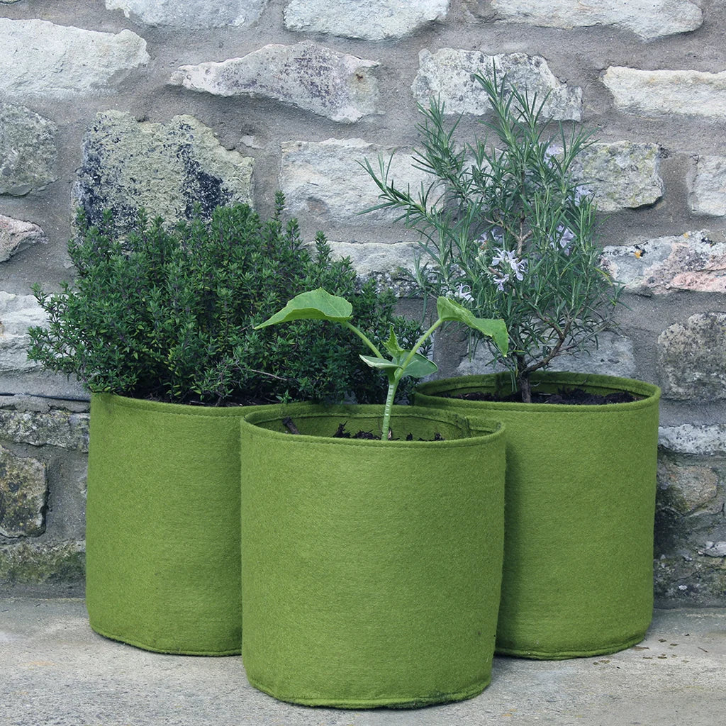 Vigoroot Air-Pruning Fabric Pots | Pack of 3