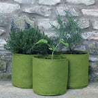 Vigoroot Air-Pruning Fabric Pots | Pack of 3