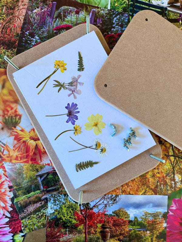 Wooden flower press with pressed flowers and botanical specimens on a colorful floral background.