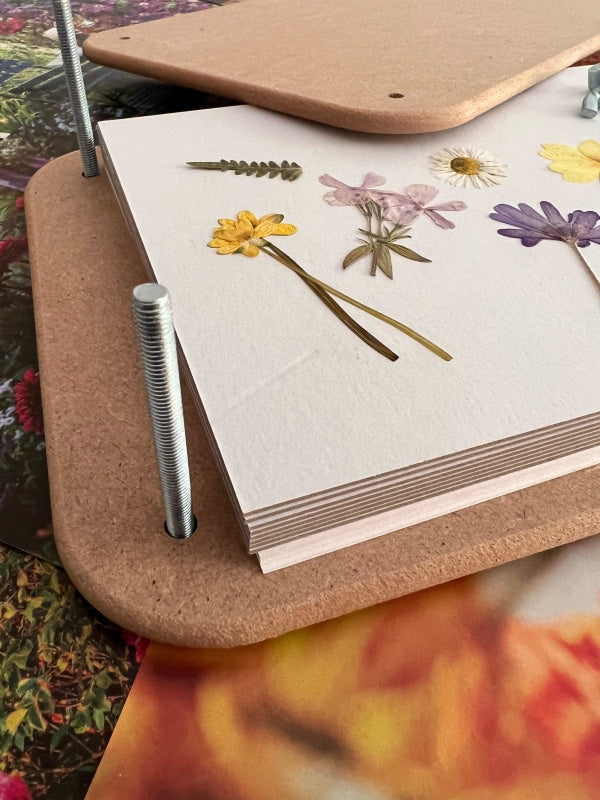 Wooden flower press with pressed flowers and blotting paper, showcasing a simple pressing process for flower preservation.