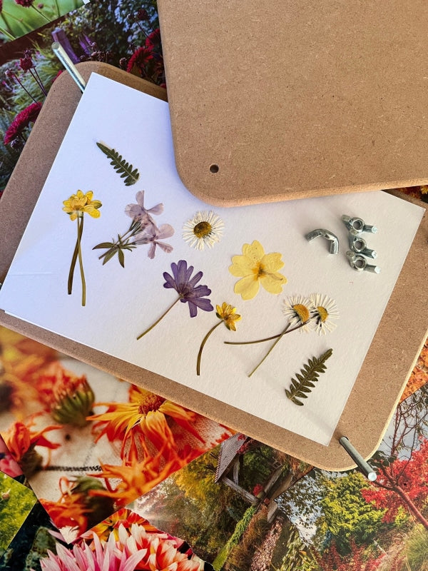 Dried flowers pressed in a wooden flower press, showcasing vibrant colors and textures on white paper.