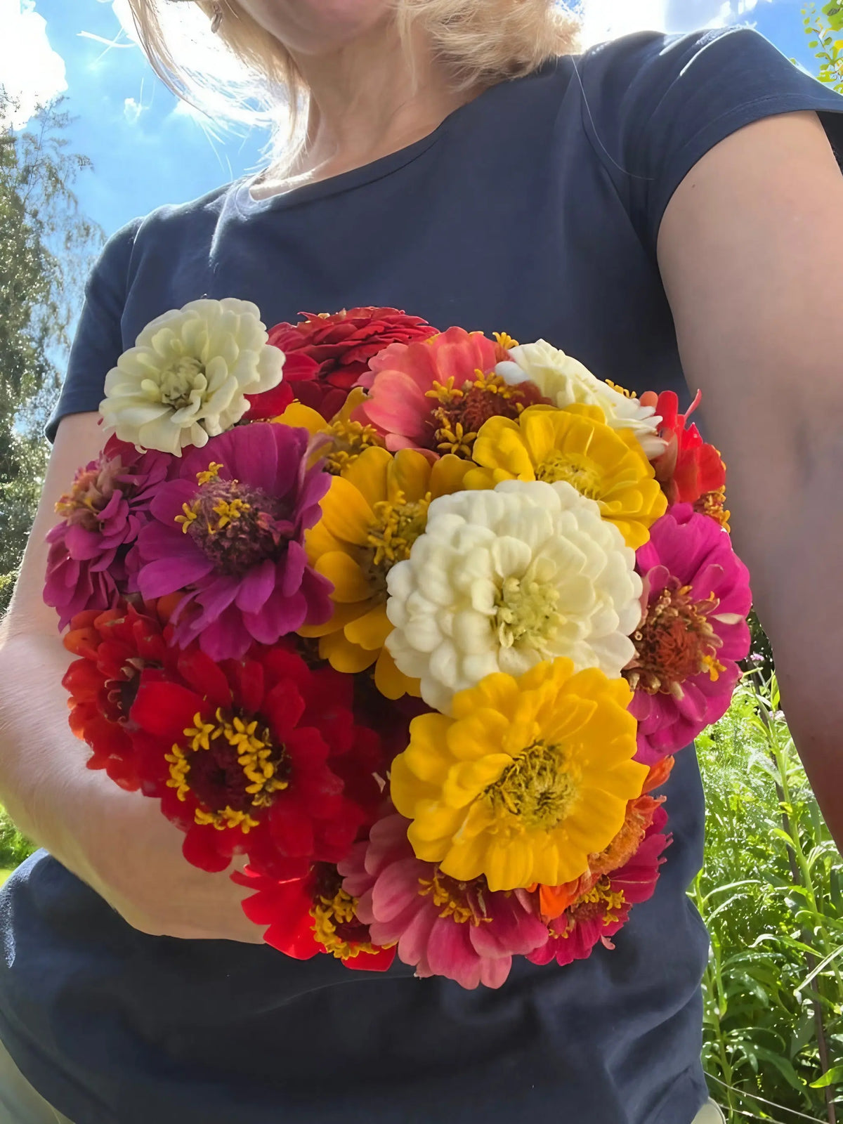 Person holding a bouquet of Zinnia Lilliput Mix in red, yellow, white, pink and orange